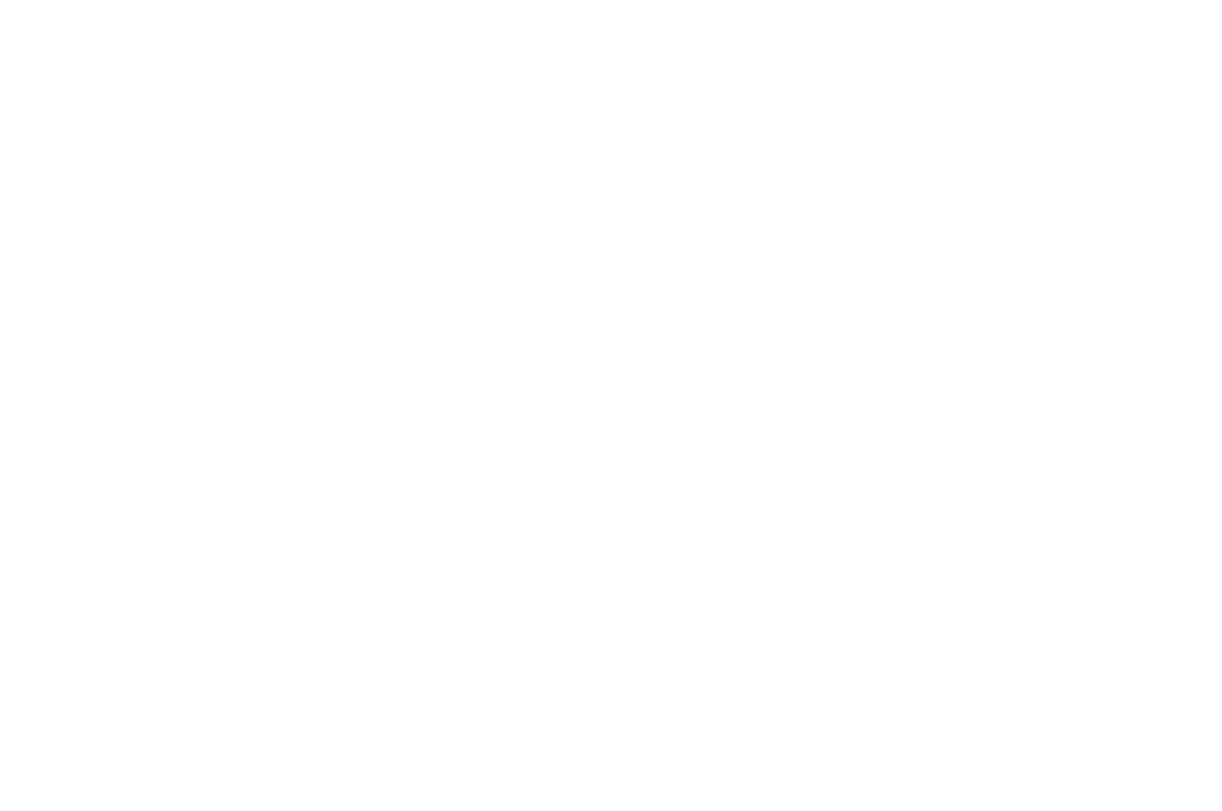 Finalist — Las Vegas International Film & Screenwriting Festival